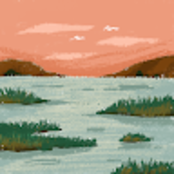 oliveshiavi1911